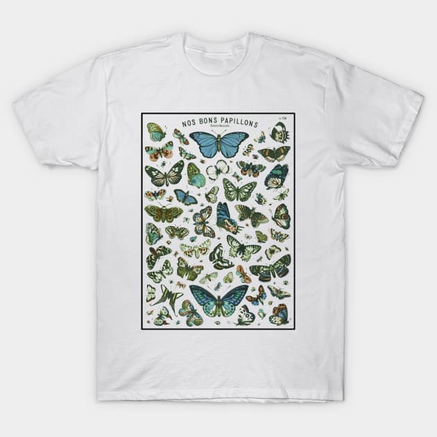 Butterfly Botanical T-Shirt by vintageinspired